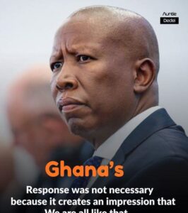 Malema Warns Against Blaming Migrants Over Job Losses