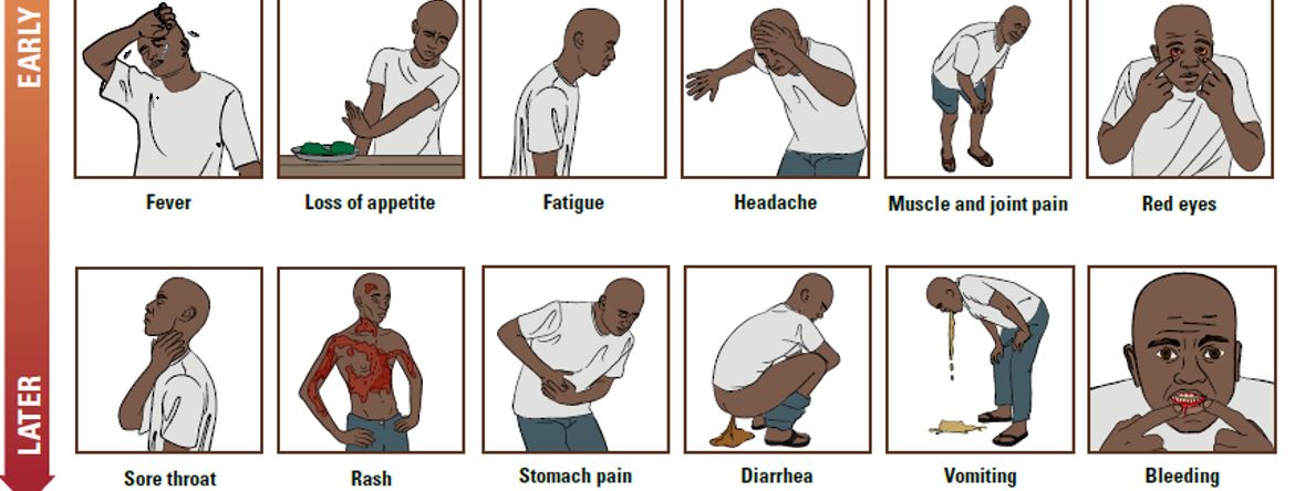 What You Need to Know About Ebola